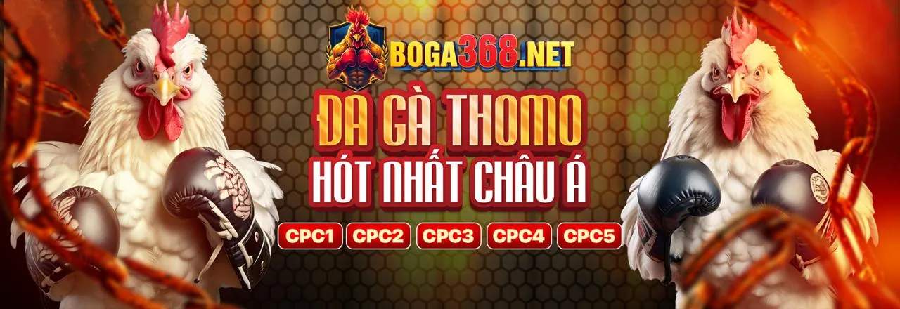 Đá gà trực tuyến kịch tính tại KK88 App